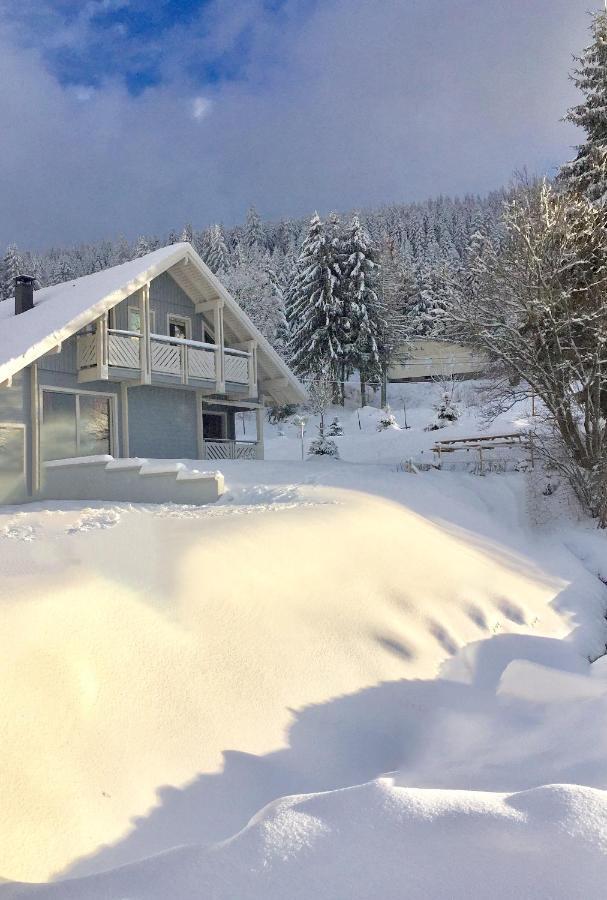 Chalet Le Flocon Bleu - Mauselaine avec vue sur le Lac de Gérardmer Esterno foto