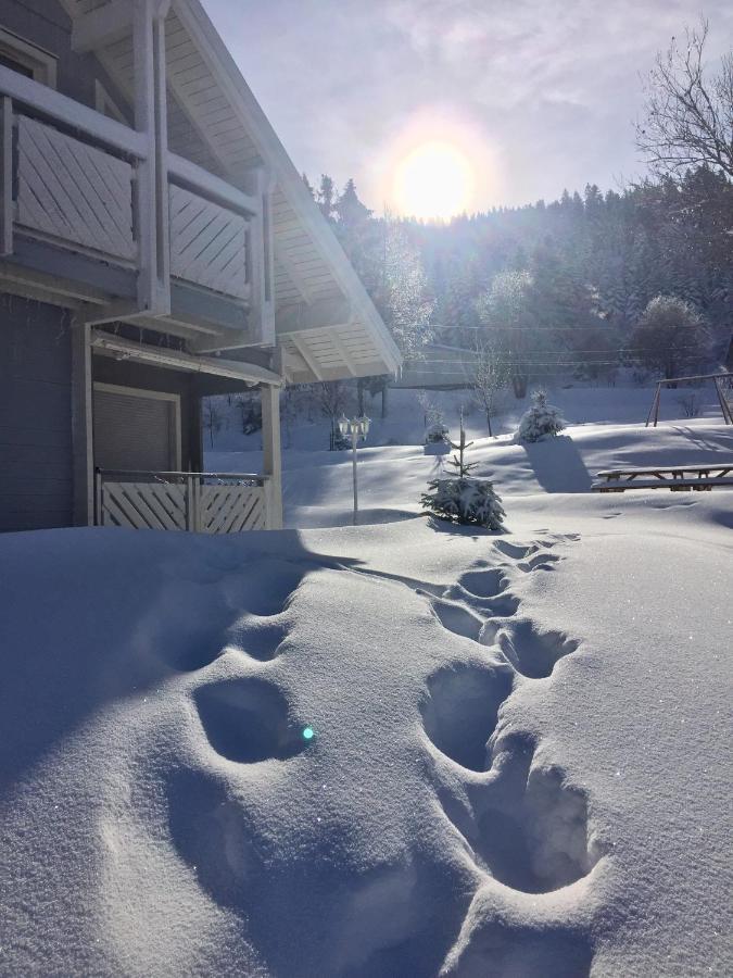 Chalet Le Flocon Bleu - Mauselaine avec vue sur le Lac de Gérardmer Esterno foto