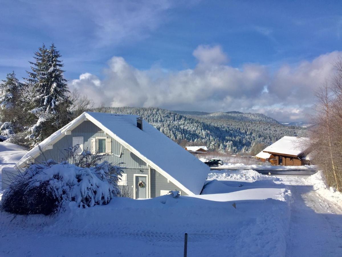 Chalet Le Flocon Bleu - Mauselaine avec vue sur le Lac de Gérardmer Esterno foto