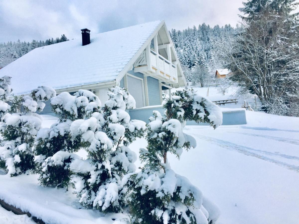 Chalet Le Flocon Bleu - Mauselaine avec vue sur le Lac de Gérardmer Esterno foto