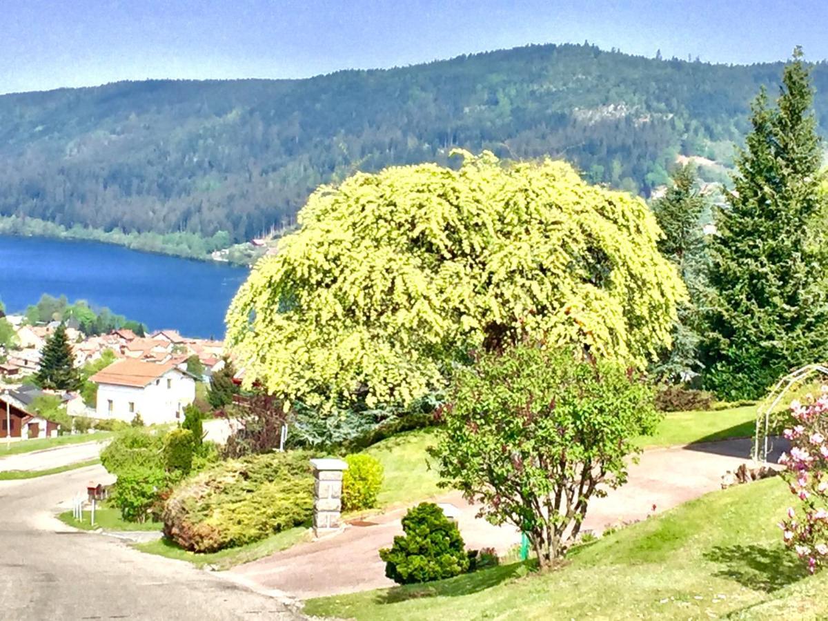 Chalet Le Flocon Bleu - Mauselaine avec vue sur le Lac de Gérardmer Esterno foto