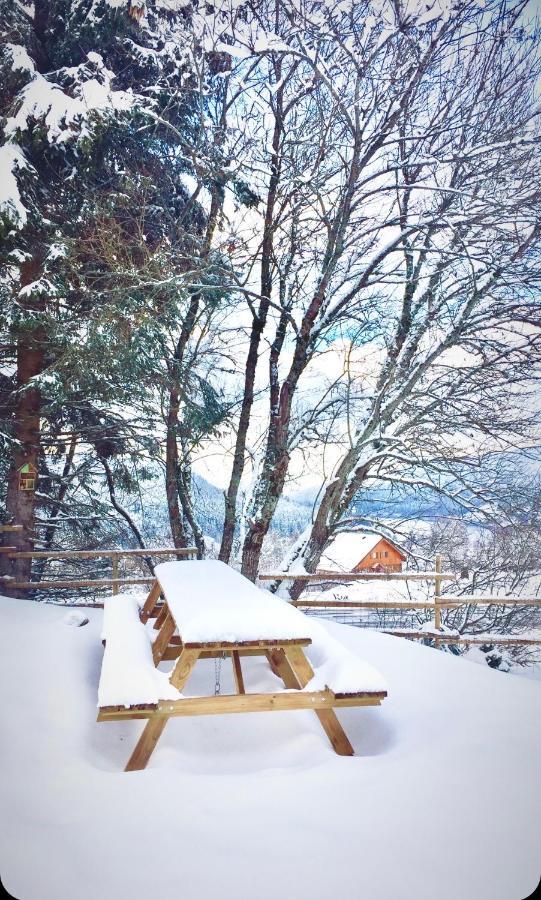 Chalet Le Flocon Bleu - Mauselaine avec vue sur le Lac de Gérardmer Esterno foto